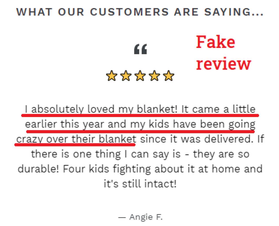fakereview1-2e3ba.PNG