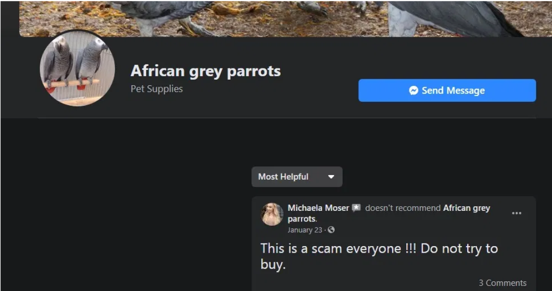 screenshot-2021-05-26-at-093811-d8608.png